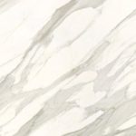 Calacatta Gold CG01R